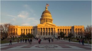 Tennessee constitutional rights guide