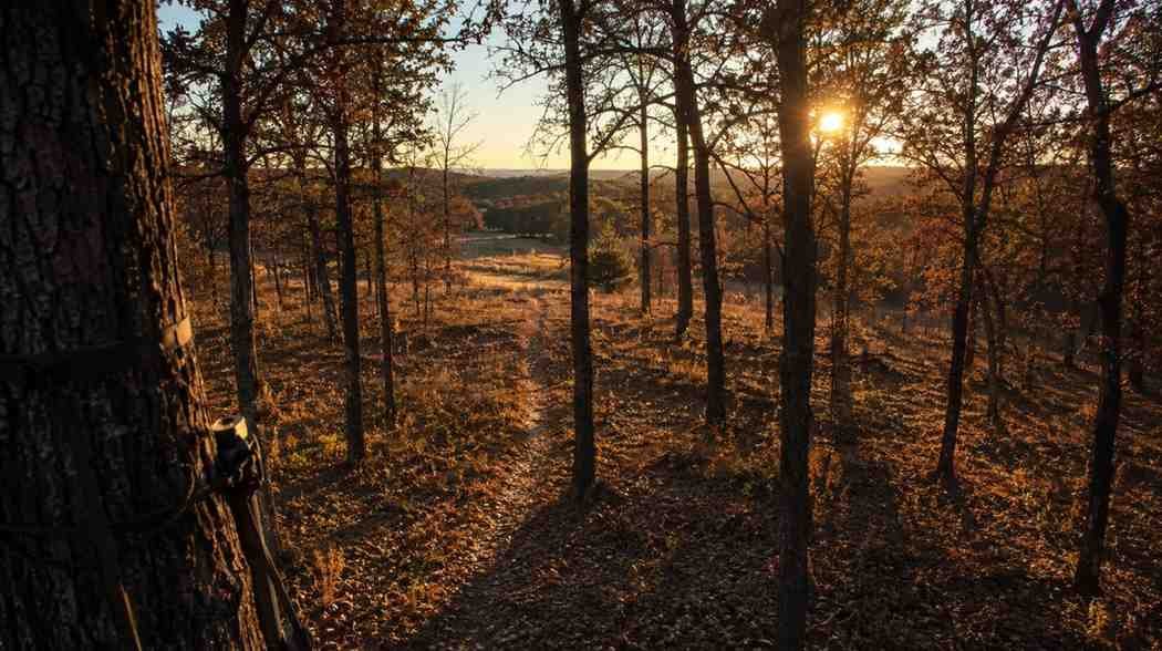 The Walk In and the Scent of Autumn