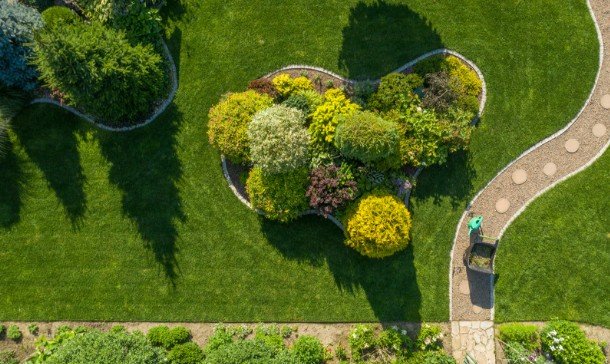 Backyard Gardening for Beginners in Tennessee - Your First Harvest Starts Here