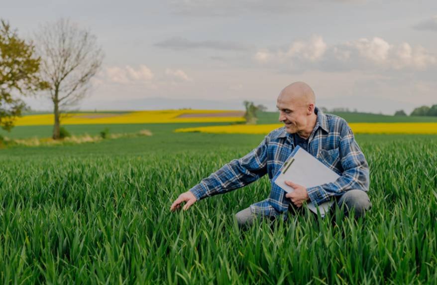 Mental Health Challenges Facing Tennessee Farmers The Worries That Follow Them Home