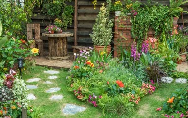 What Care Does a Beginner Garden Need